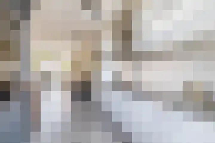Fortuinlaan 92 Krommenie thumbnail 16