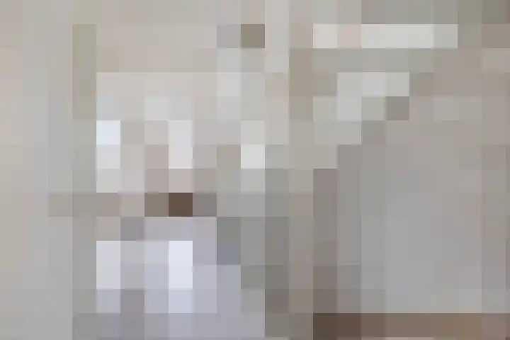 Fortuinlaan 92 Krommenie thumbnail 20