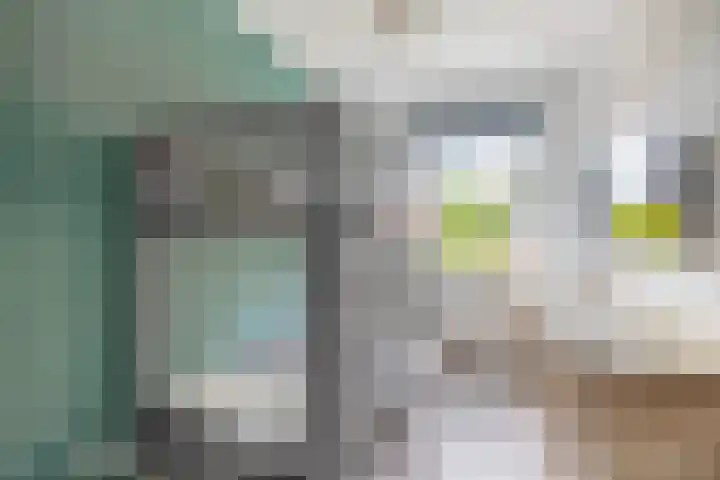 Fortuinlaan 92 Krommenie thumbnail 26