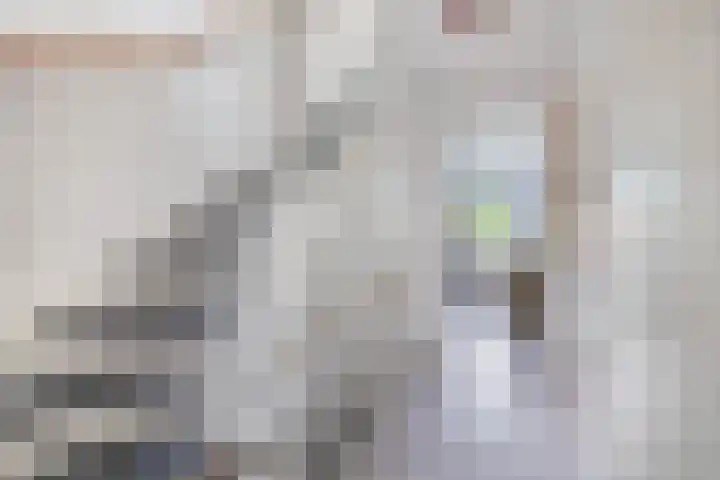 Fortuinlaan 92 Krommenie thumbnail 28