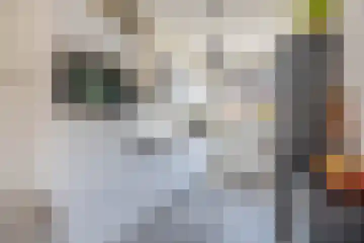 Fortuinlaan 92 Krommenie foto 3