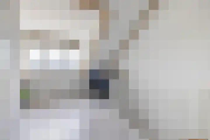 Fortuinlaan 92 Krommenie thumbnail 30