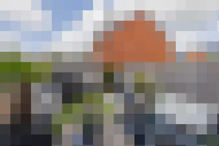 Fortuinlaan 92 Krommenie thumbnail 36