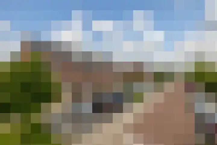 Fortuinlaan 92 Krommenie thumbnail 49