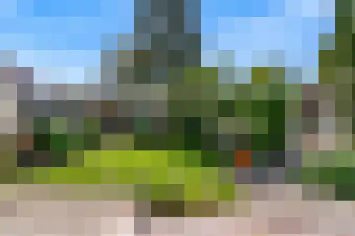 Fortuinweg 4 Zaandijk thumbnail 18