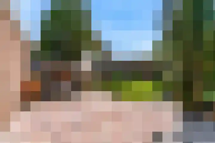Fortuinweg 4 Zaandijk thumbnail 22