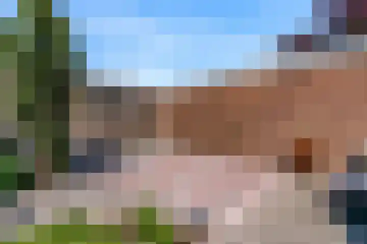 Fortuinweg 4 Zaandijk thumbnail 24
