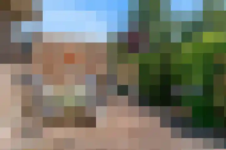 Fortuinweg 4 Zaandijk thumbnail 25