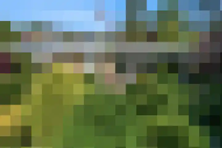 Fortuinweg 4 Zaandijk thumbnail 30