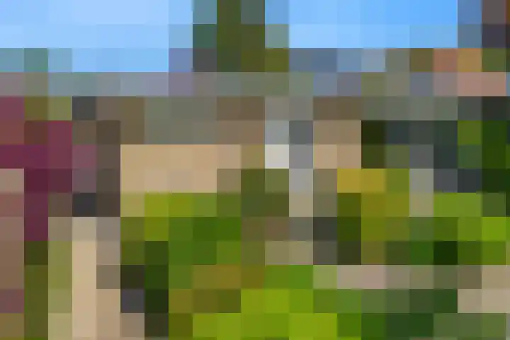 Fortuinweg 4 Zaandijk thumbnail 32