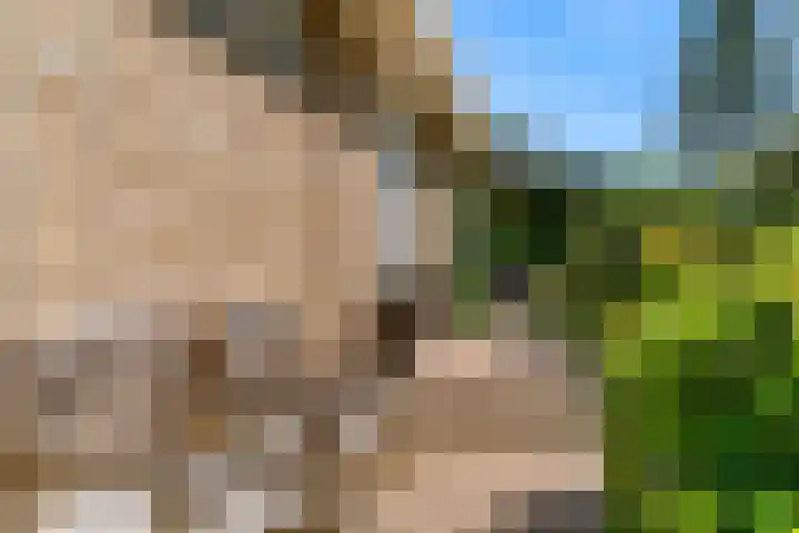 Fortuinweg 4 Zaandijk thumbnail 34