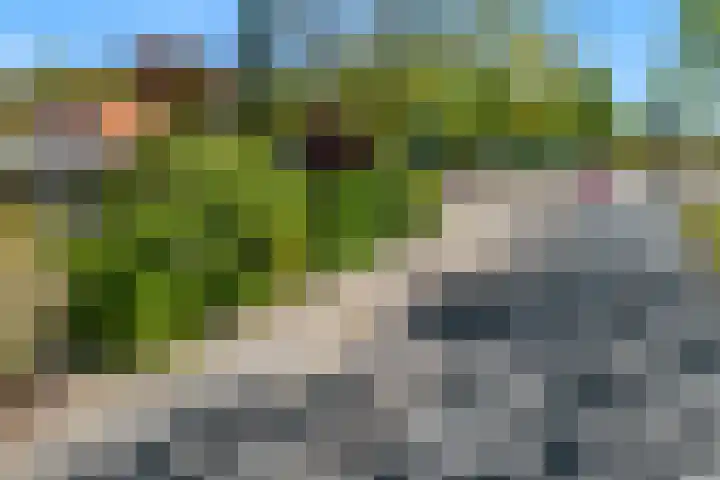 Fortuinweg 4 Zaandijk thumbnail 38