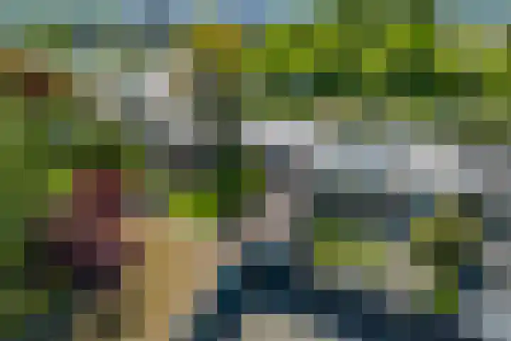 Fortuinweg 4 Zaandijk thumbnail 39