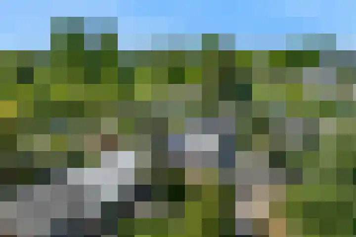 Fortuinweg 4 Zaandijk thumbnail 40