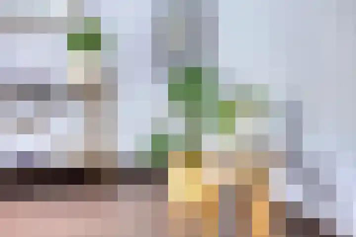 Fortuna 83 Elst thumbnail 14