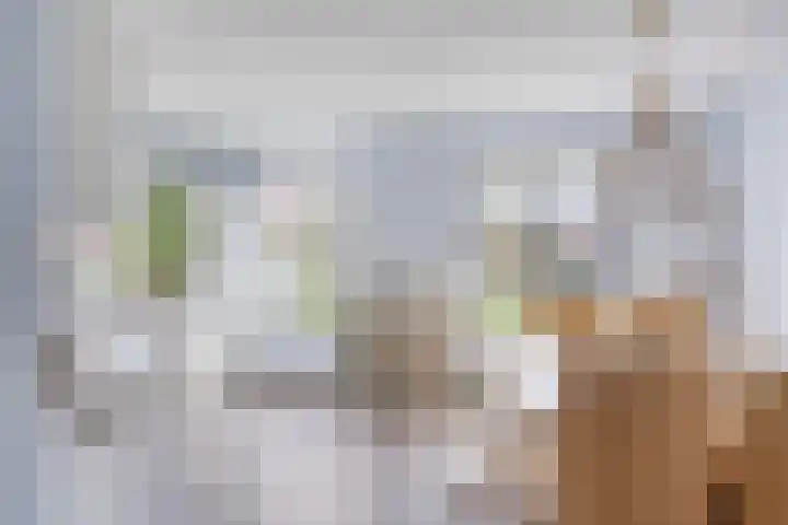 Fortuna 83 Elst thumbnail 16