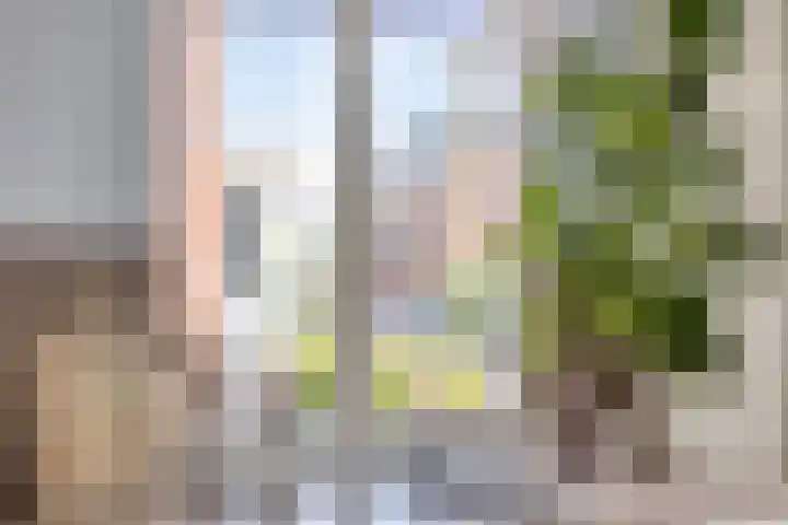 Fortuna 83 Elst thumbnail 25