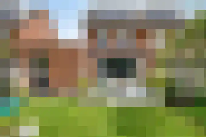 Fortuna 83 Elst foto 3