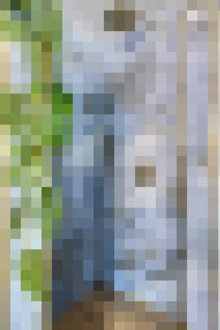 Fortuna 83 Elst thumbnail 31