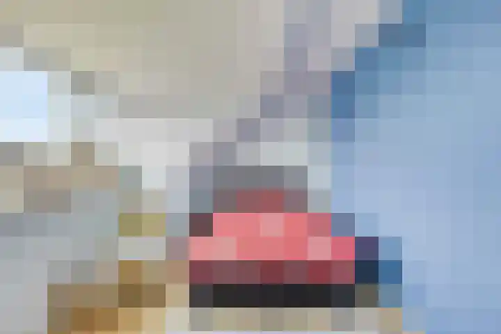 Fortuna 83 Elst thumbnail 45