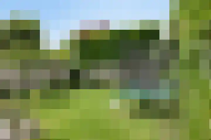 Fortuna 83 Elst thumbnail 48