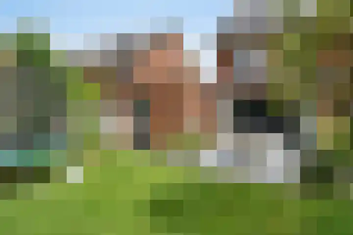 Fortuna 83 Elst thumbnail 49
