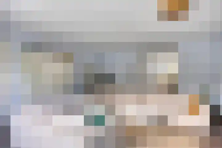 Fortuna 83 Elst thumbnail 9