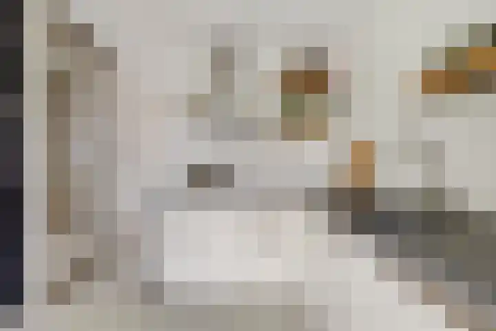 Fortunaweg 16 Leiden thumbnail 14