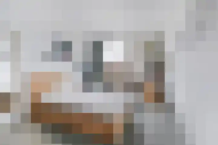 Fortunaweg 16 Leiden thumbnail 17