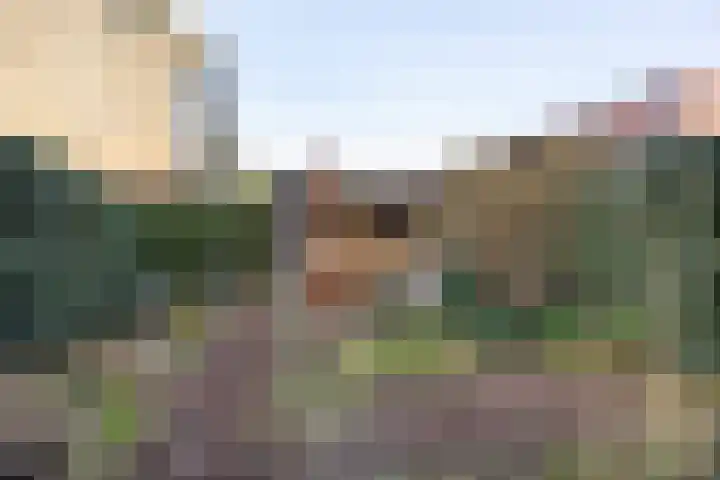 Fortunaweg 16 Leiden thumbnail 26