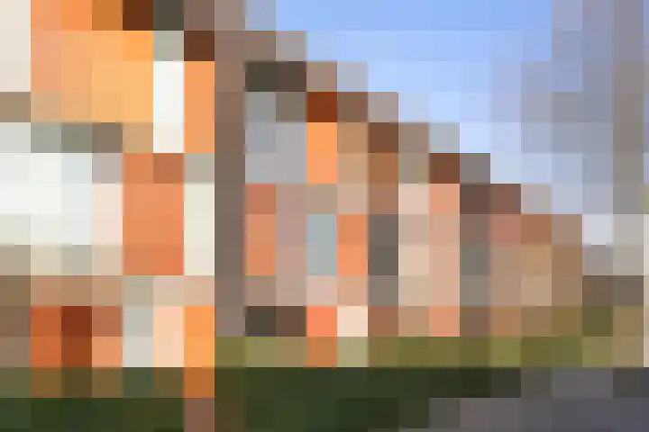 Fortunaweg 16 Leiden thumbnail 29