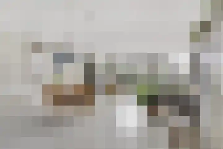 Fortunaweg 16 Leiden thumbnail 5