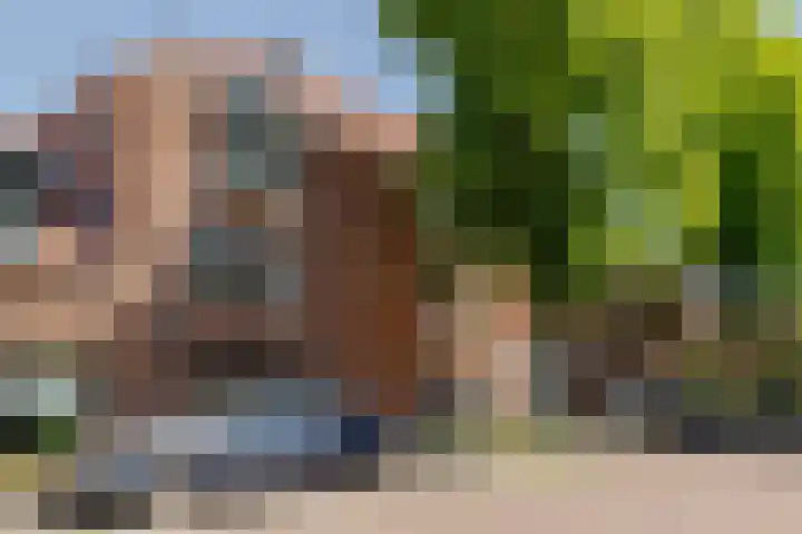 Fortuynhof 12 Breda thumbnail 15