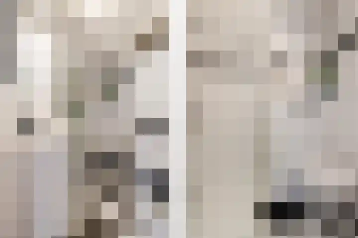 Fortuynhof 12 Breda thumbnail 18