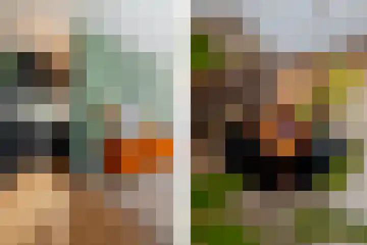 Fortuynhof 12 Breda thumbnail 24
