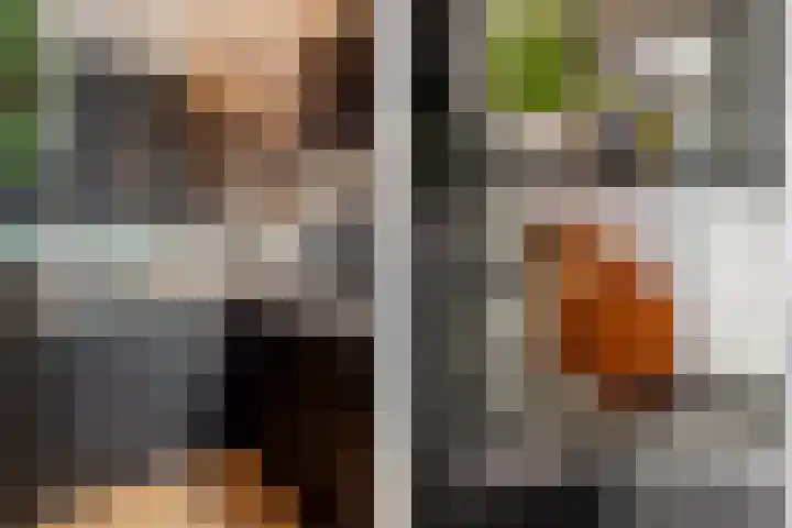 Fortuynhof 12 Breda thumbnail 25