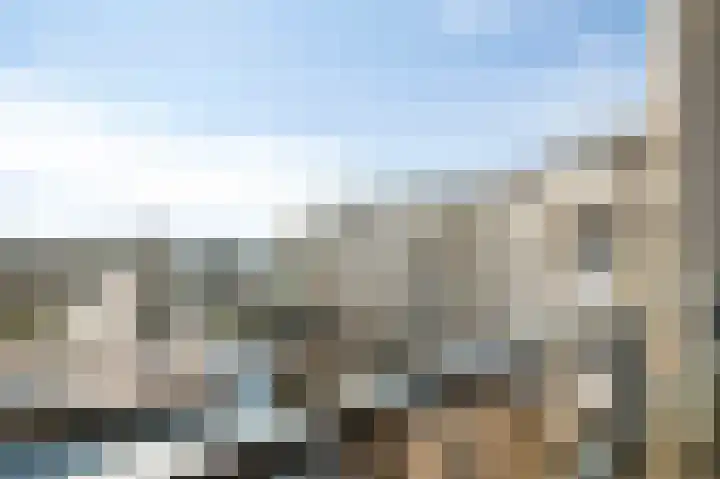 Forum 44 Born thumbnail 30