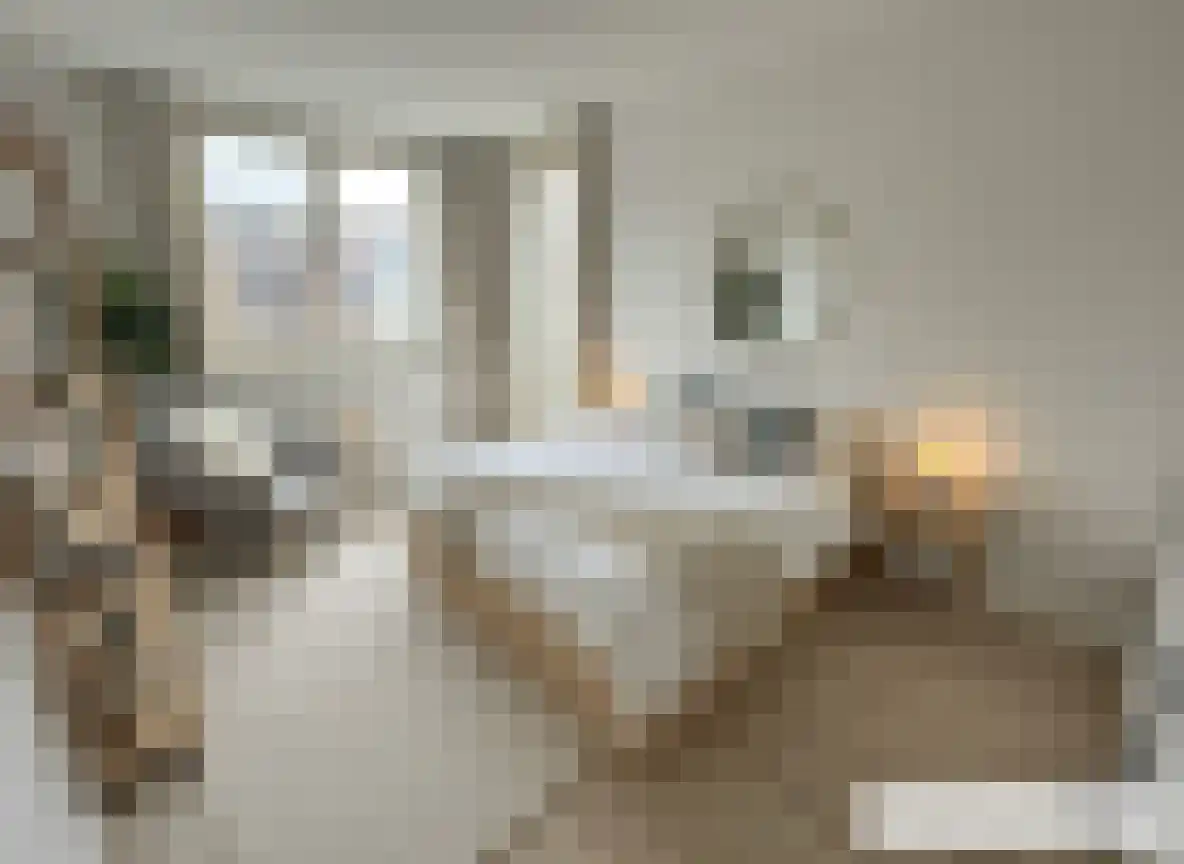 Fosforstraat 20 Eindhoven thumbnail 28