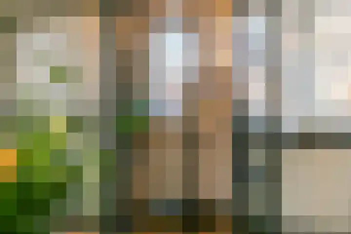 Fossa 6 Ewijk thumbnail 12