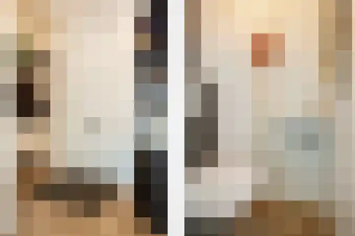 Fossa 6 Ewijk thumbnail 18