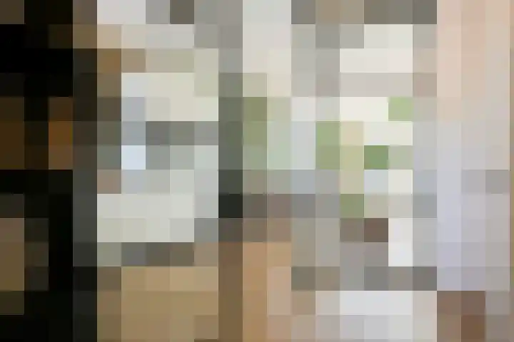 Fossa 6 Ewijk foto 2