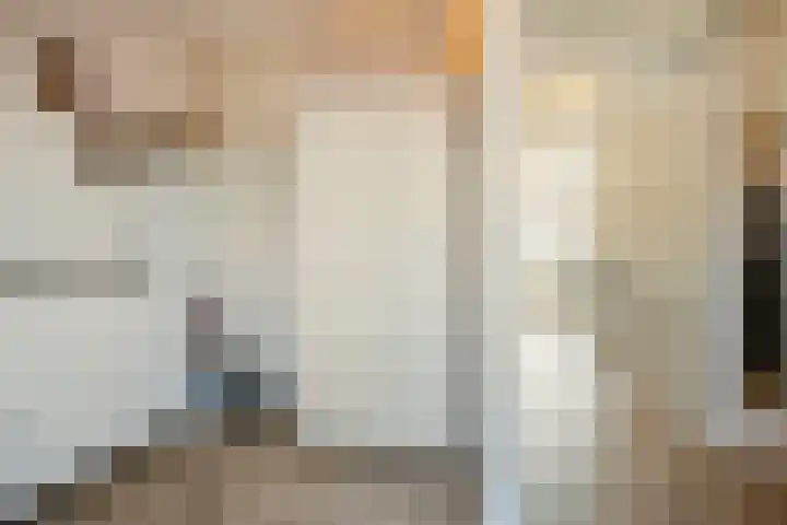 Fossa 6 Ewijk thumbnail 22