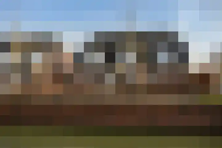 Fossa 6 Ewijk thumbnail 28