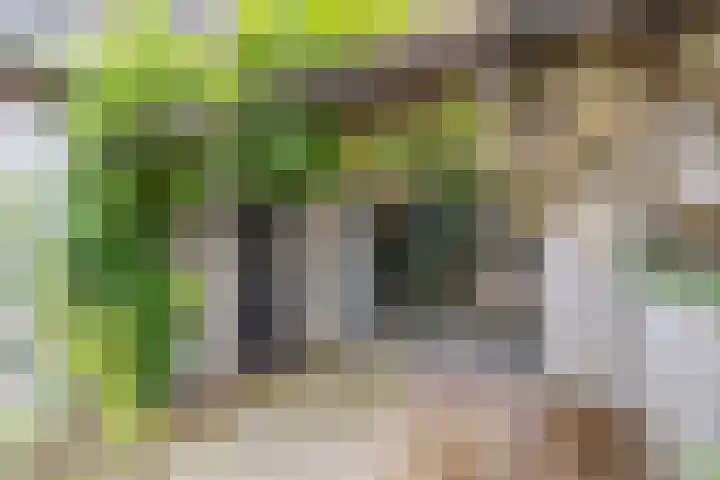 Fossa 6 Ewijk thumbnail 29