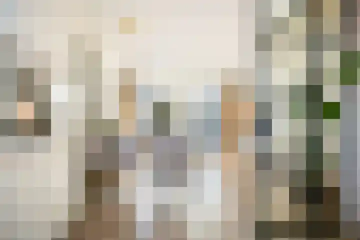 Fossa 6 Ewijk foto 3