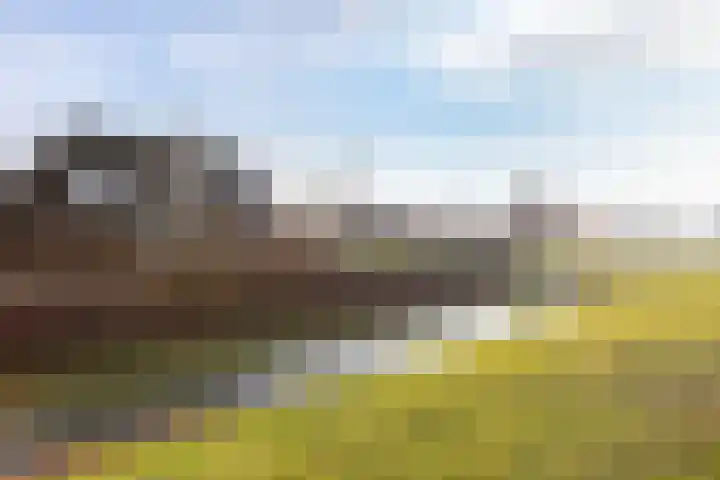 Fossa 6 Ewijk thumbnail 30