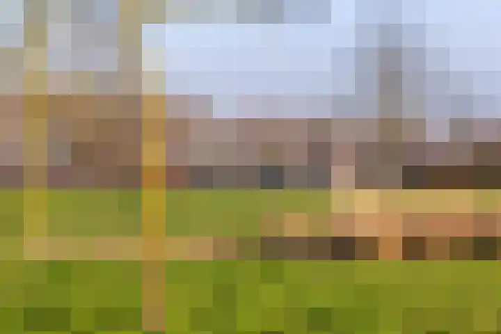 Fossa 6 Ewijk thumbnail 31