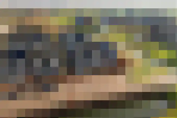 Fossa 6 Ewijk thumbnail 32
