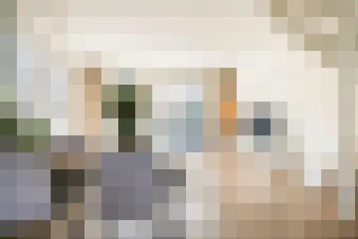 Fossa 6 Ewijk thumbnail 4