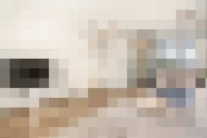 Fossa 6 Ewijk thumbnail 8